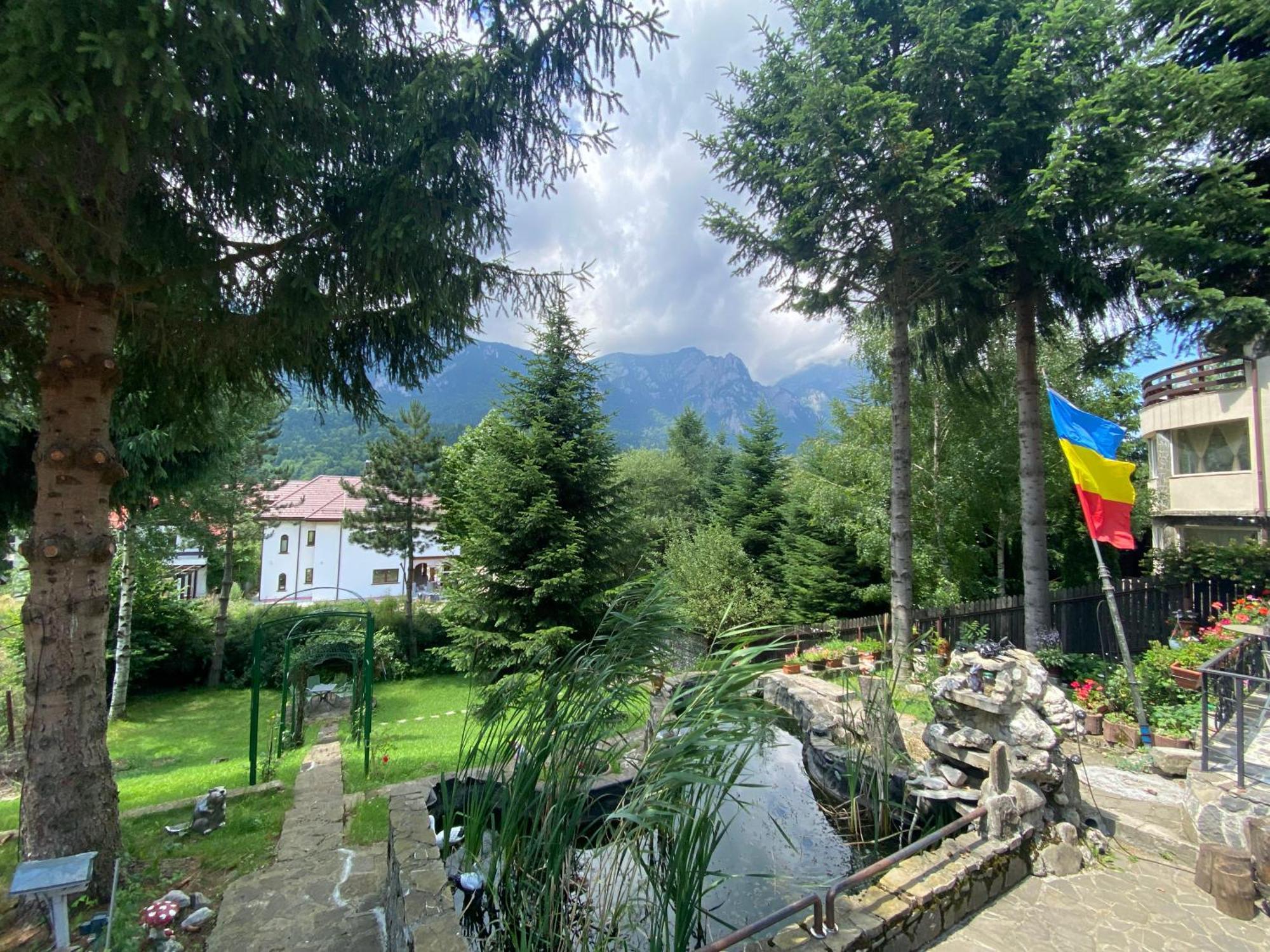 Vila Mara Buşteni Exterior foto
